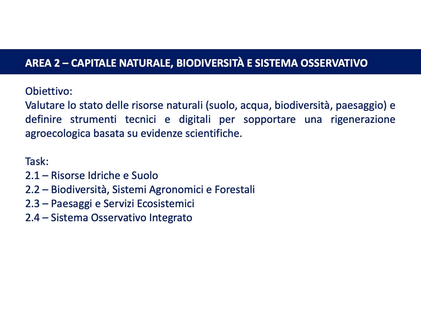 Diapositiva12
