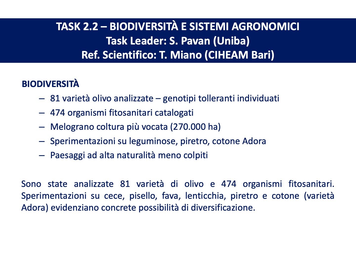 Diapositiva14