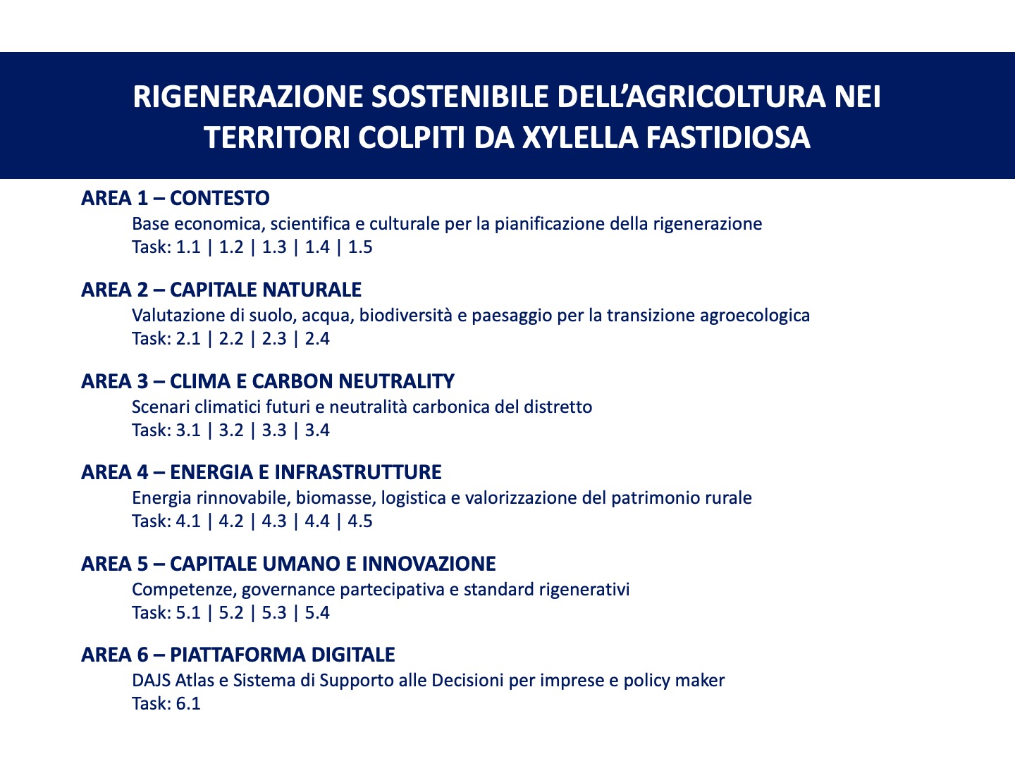 Diapositiva5