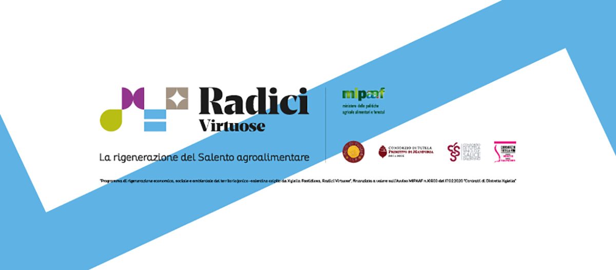 radici virtuose copertina fb2